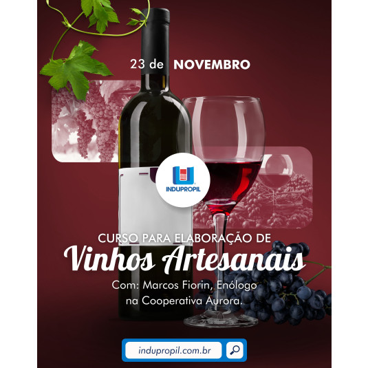 Curso para Elaboração de Vinhos Artesanais - 23/11/2024